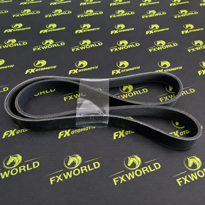 Belt 2171393 FX WORLD